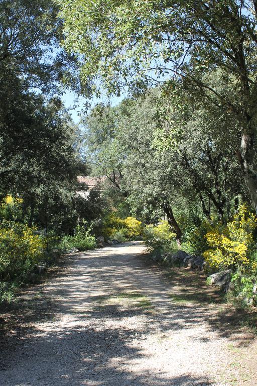 فيلا A L'Est D'Uzes Saint-Siffret المظهر الخارجي الصورة