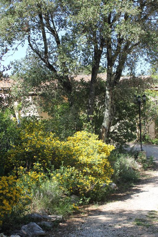 فيلا A L'Est D'Uzes Saint-Siffret المظهر الخارجي الصورة