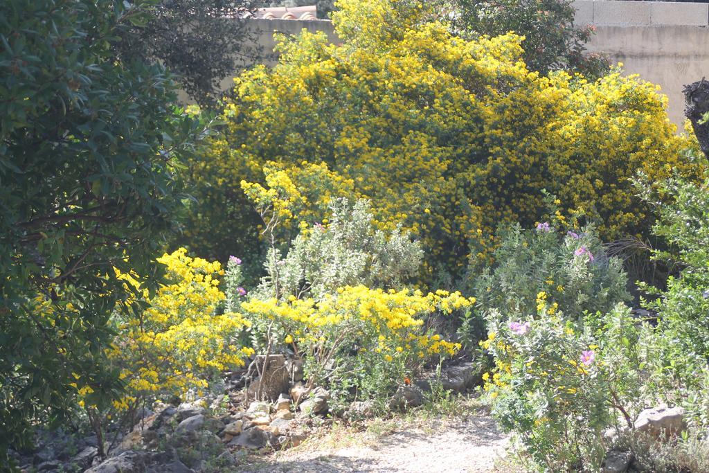 فيلا A L'Est D'Uzes Saint-Siffret المظهر الخارجي الصورة